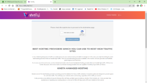 ShrtFly - Google Chrome 14_09_2022 09_21_07.png