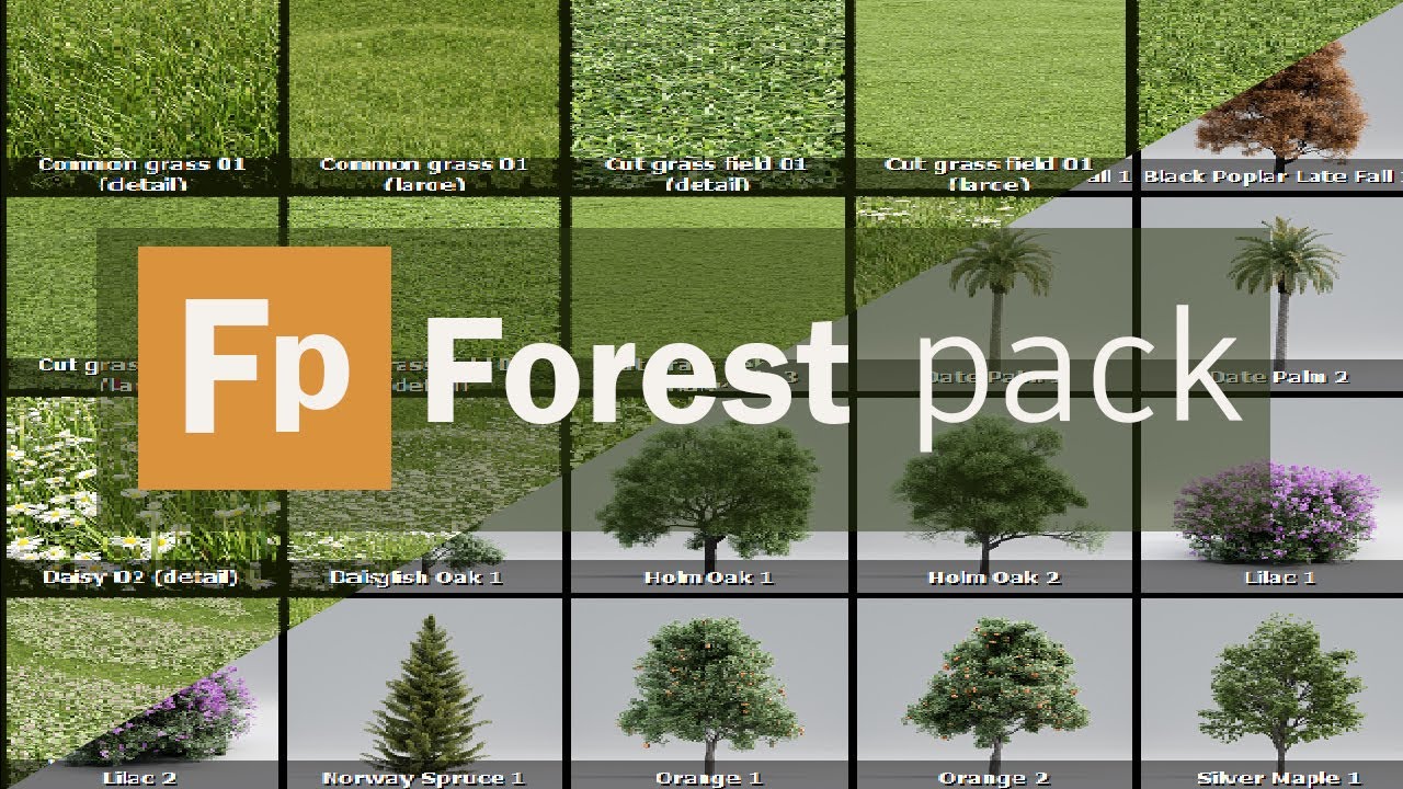 [PCWIN] IToo Forest Pack Pro for 3DsMax Programmi e Dove Trovarli